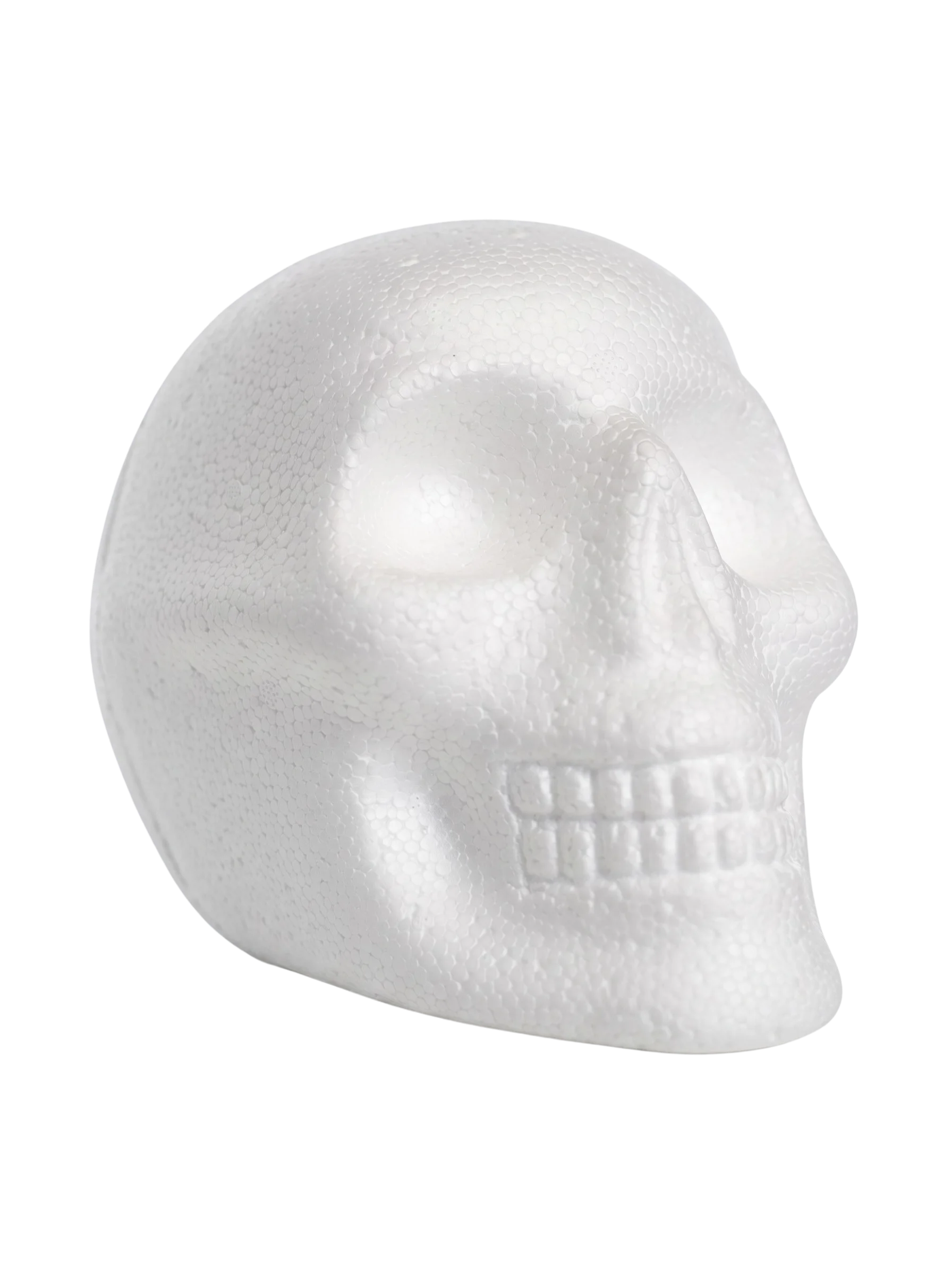 6 Skull sets dry ice for decor